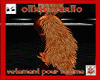 WE! tail brown orange