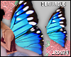 <J> Drv Butterfly Wings