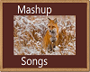 Mashup Songs