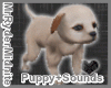 Pet Nova Puppy + Sounds