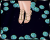 Fairy Coins