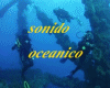 sonido oceanico (vallena