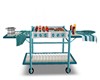 TEAL TRIM BBQ GRILL