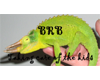 BRB chameleon
