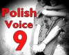 Polish Musicvoice9|cytra
