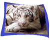 beach towel white tiger
