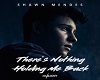 Shawn Mendes - Nothin 