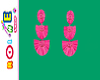Mi tierra aretes