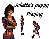 Juliette's Puppy-playing