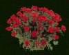 Flower #3 Red Roses