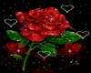 QT~Sexy Rose & Hearts