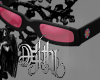 ebony shades