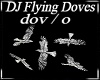 DJ FLying Doves