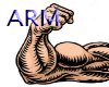 ARM Scaler 120%