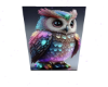 darker cute owl