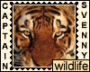 [ALP] wildlife 2