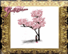 Sakura Blossom tree