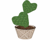Heart Cactus Planter