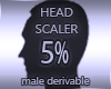 Head Scaler 5%