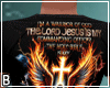Warrior Of God Tee