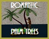 Romantic Palm Trees