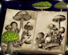 Mushroom Tales 2