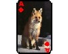 Fox card 2