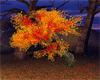 Fall Tree3