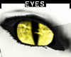 [M] Yellow * Cats Eye