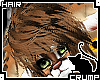 [C] Kittin V.4 Hair