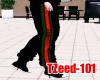 TZeed101-BT-V2