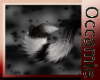 Conquest  Black Tail