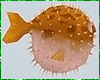 Kawaii Fish Animated