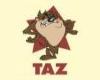 Taz is a Star