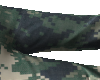 Rebels pants
