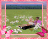 Sweet Dandelion Field