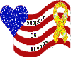 Support Our Troops