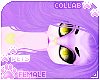 [Pets] Shasi | lucille