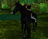 Realistic Black Horse 2