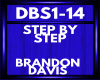 brandon davis DBS1-14