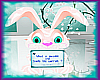 [CND]Funny Bunny