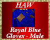 Royal Blue Gloves - M