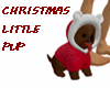 CHRISTMAS LITTLE PUP