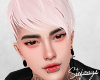 S. Sawyer Boreal
