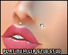 [8z] Platinum Lip Stud
