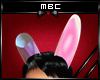 Bunny Ears Pink 1