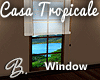 *B* Casa Tropical Window