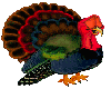 [KC]Turkey Sticker