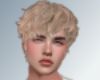 Blonde Mussed Cut