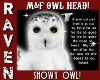 (M & F) SNOWY OWL HEAD!